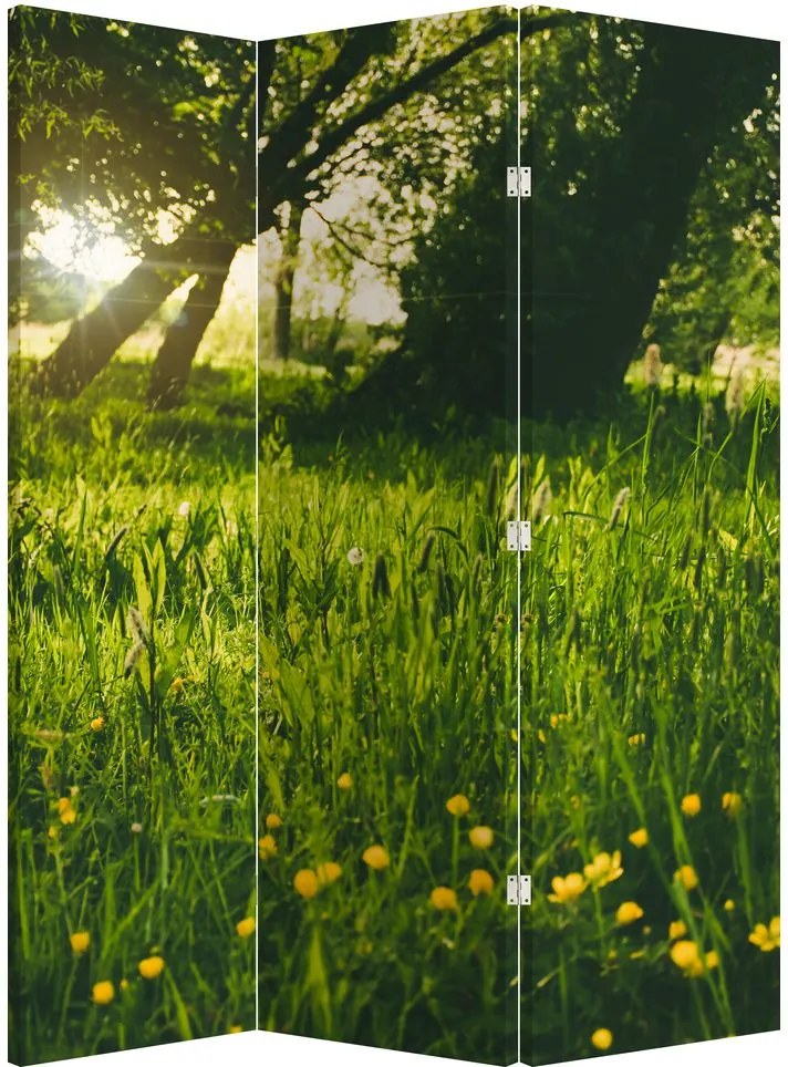Paraván - Rét (126x170 cm)