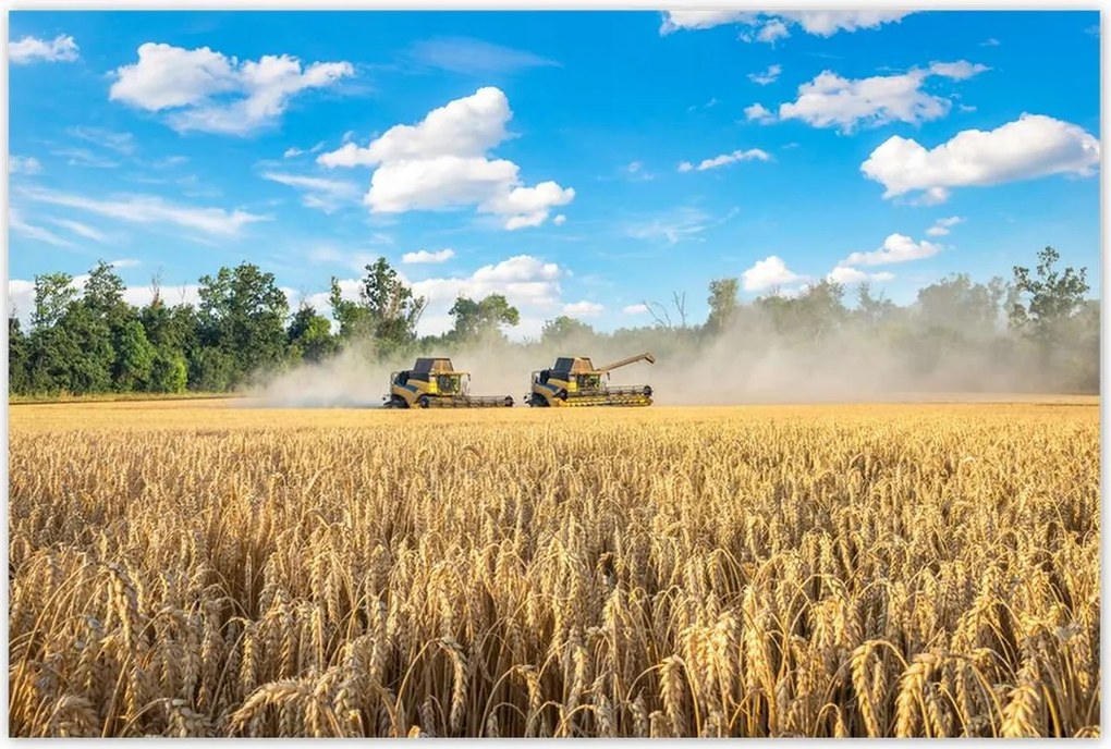 Poszterek 120x80 Két fűnyíró kombájn