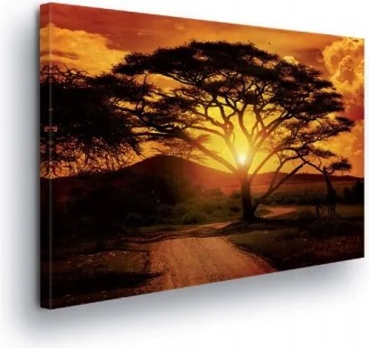 Vászonkép 100x75 Tájkép Afrikai naplemente akác sziluett nyugalom