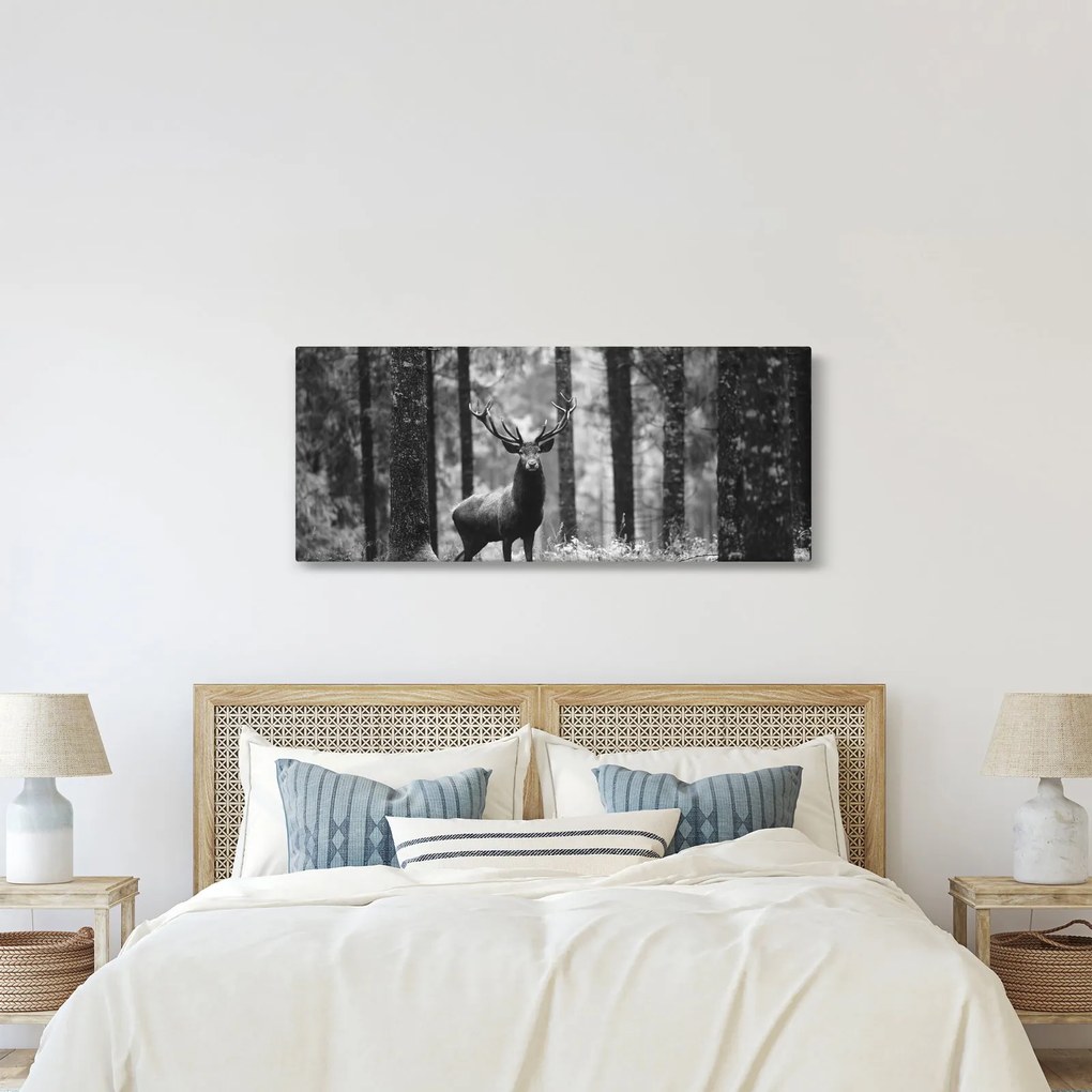 Kép - Szarvas az erdőben 2, fekete-fehér (120x50 cm)