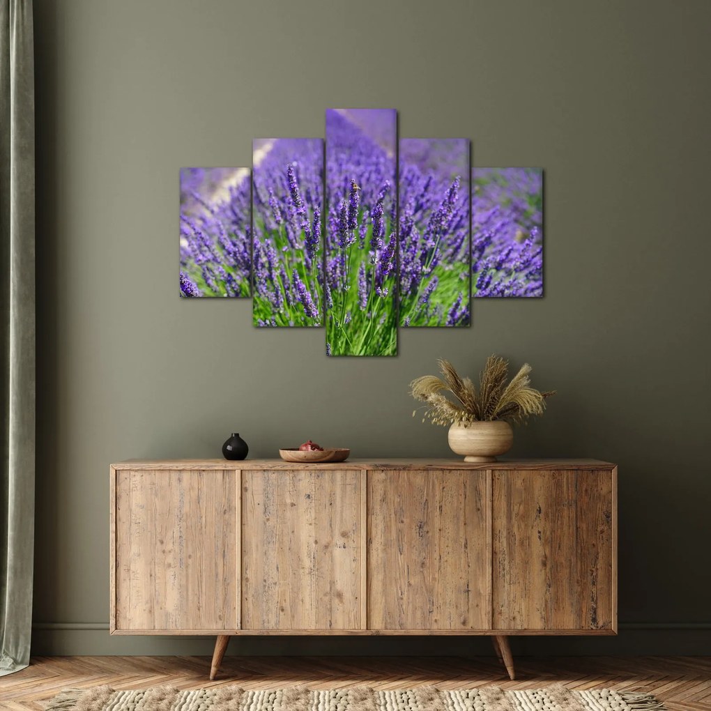 Kép - levandula (150x105 cm)
