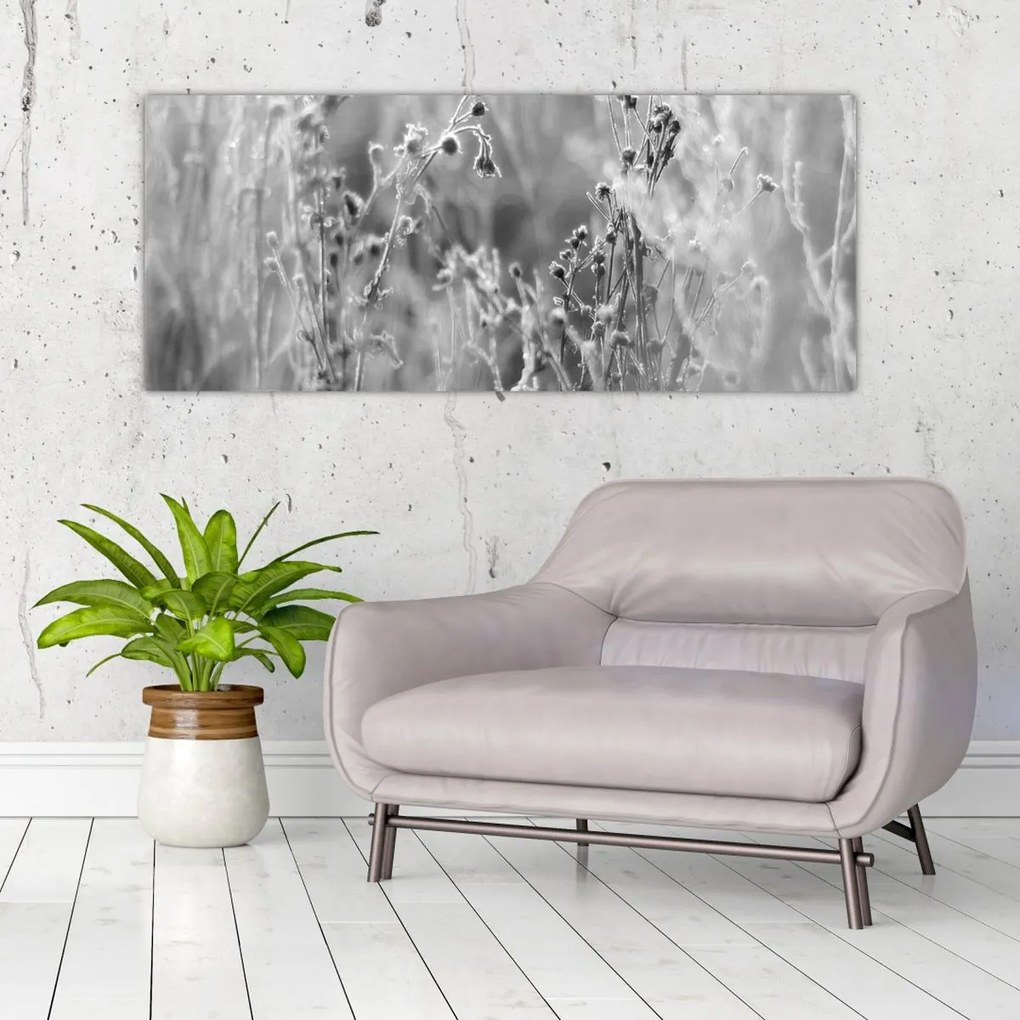 Kép - Wild Meadow (120x50 cm)