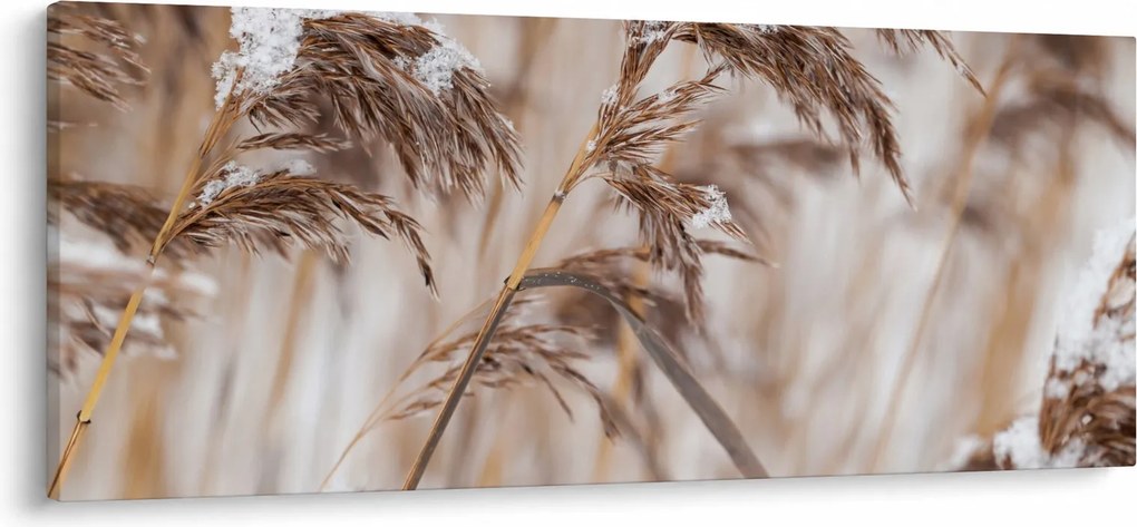 Kép - Lipnica (120x50 cm)