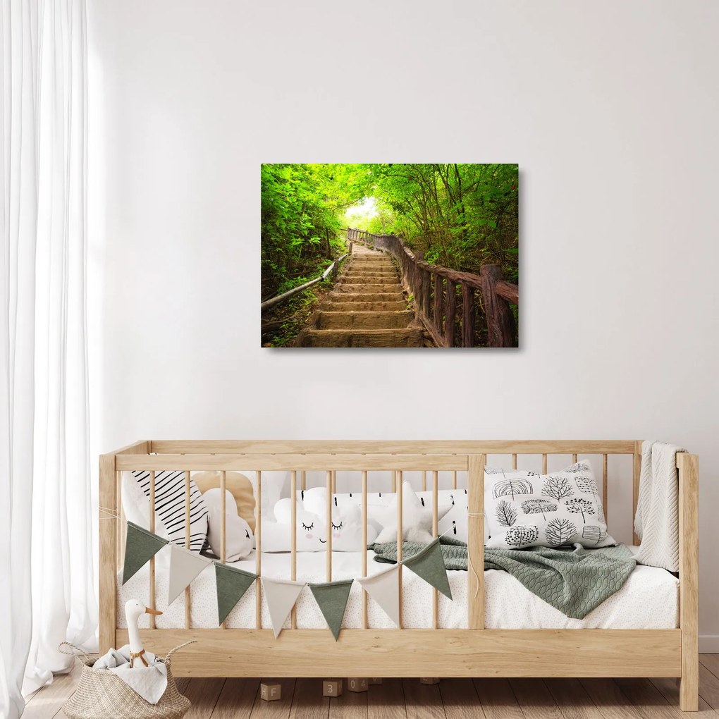 Üveg kép - Lépcsők a természetben (70x50 cm)