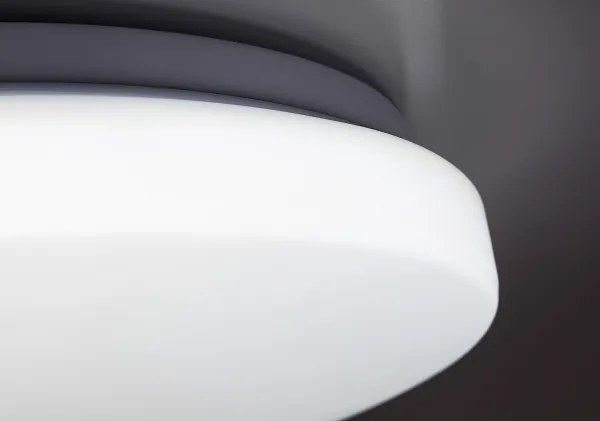 Rabalux 71443 - LED Dimmelhető mennyezeti lámpa DANNY 2 LED/60W/230V 3000-6500K átm. 58 cm + távirányító