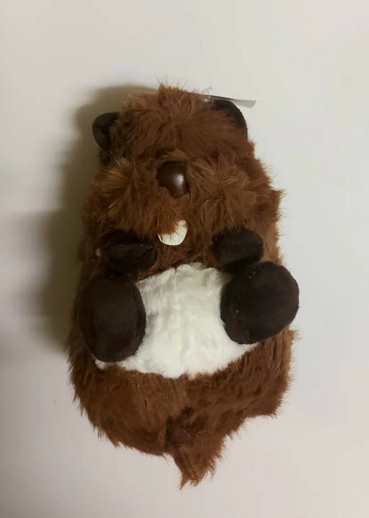 Élethű plüss hód, barna 24 cm