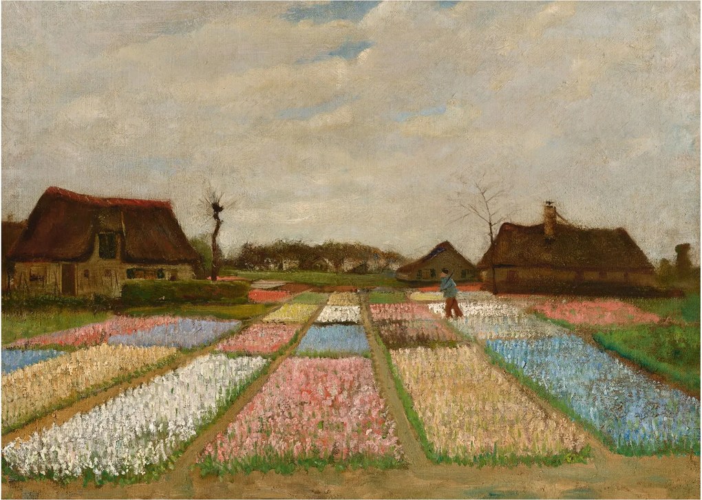 Üveg kép - Vincent van Gogh, Flower Beds in Holland, reprodukciók (70x50 cm)