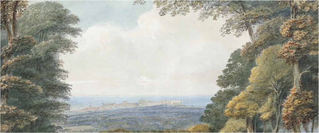 Stílusos Dekoratív fotótapéta Flizelin Erdős táj 250x104