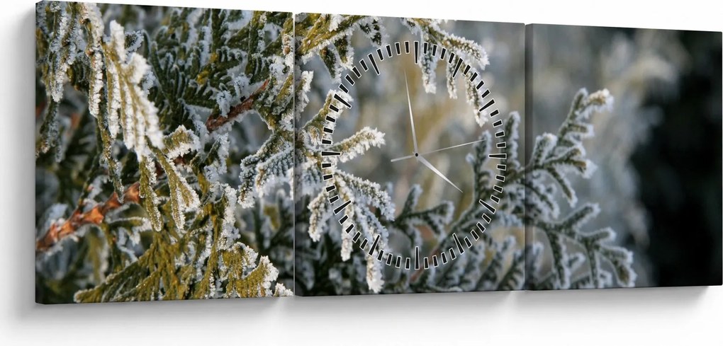 Kép - Ág részlet (órával) (90x30 cm)