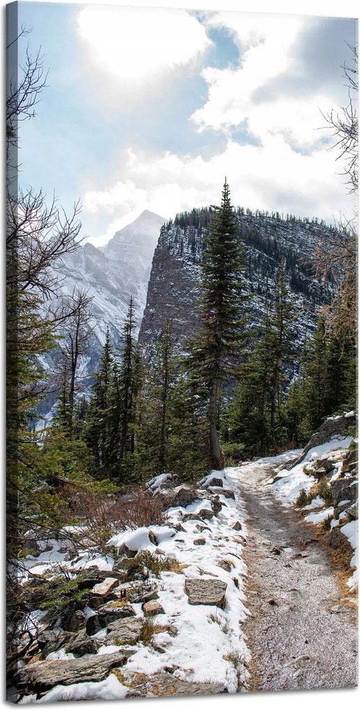 Vászonkép Természet Hegyi ösvény 40x80 cm