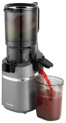 Concept LO7120 - Lassú facsaró JUICY 250W/230V szürke