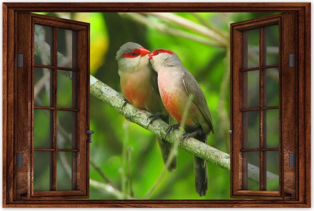 Poszterek 90x60 Madarak