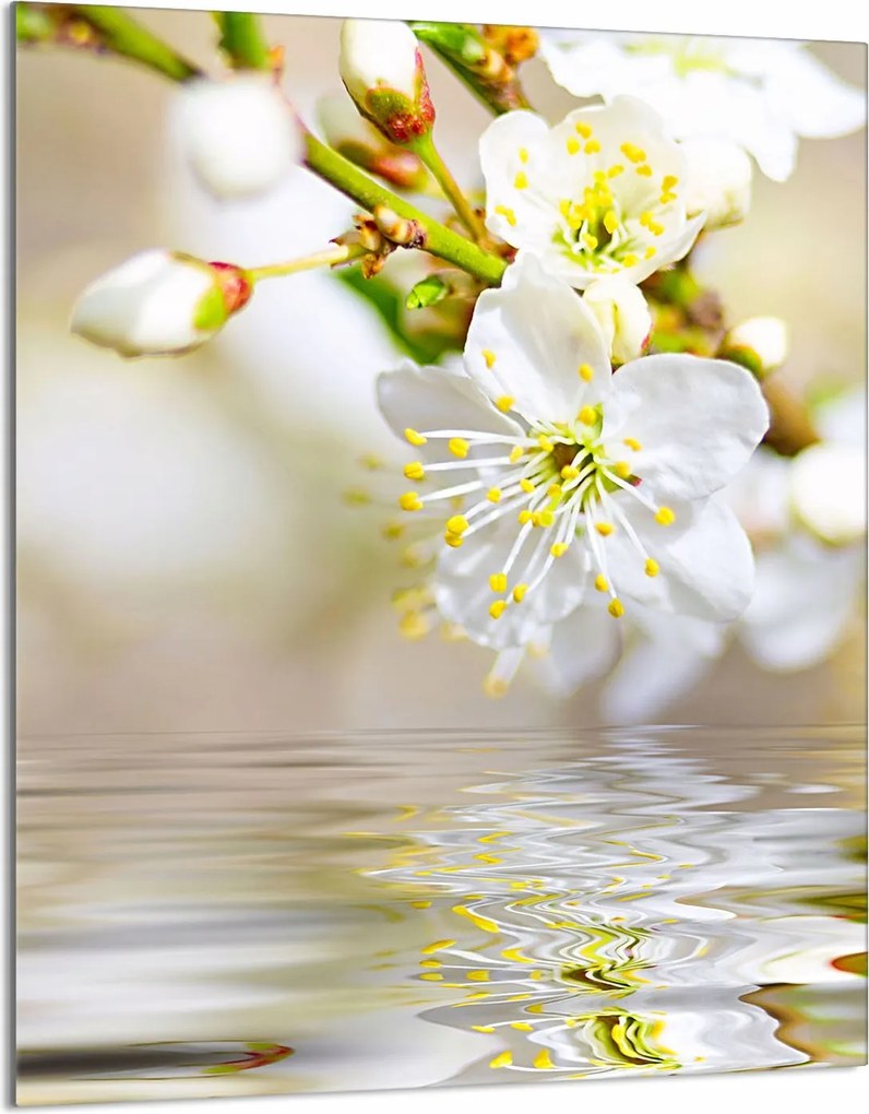 Üveg Vágódeszka 40x52 Szilva a Konyhába