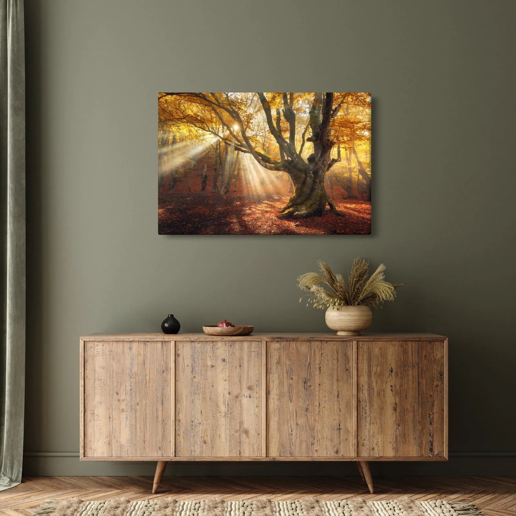 Kép - Őszi fény (90x60 cm)