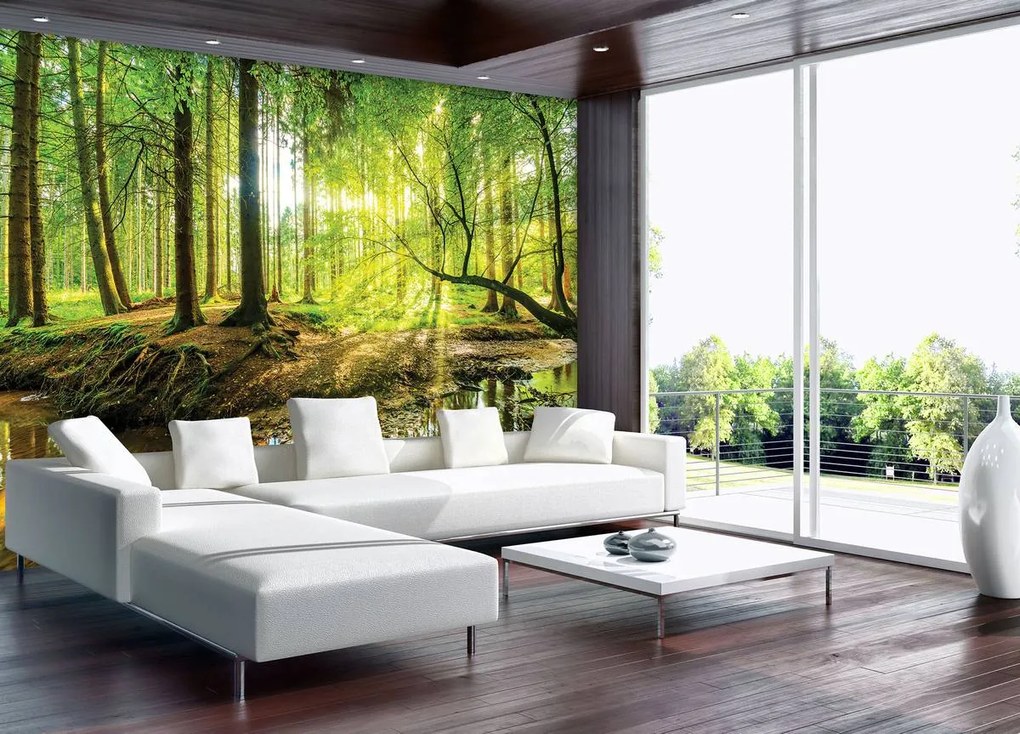 Fotótapéta - Napos erdő (152,5x104 cm)