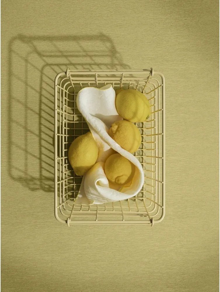 Fémhuzalos tárolókosár 29x21x14 cm Kago S – Blomus