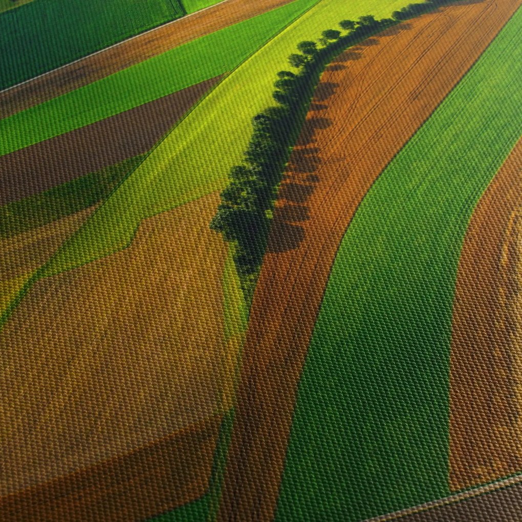 Kép - Mezők, rétek (120x50 cm)
