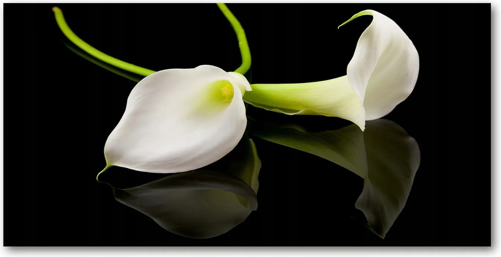 Fotó vászonkép edzett üveg Kália 140x70