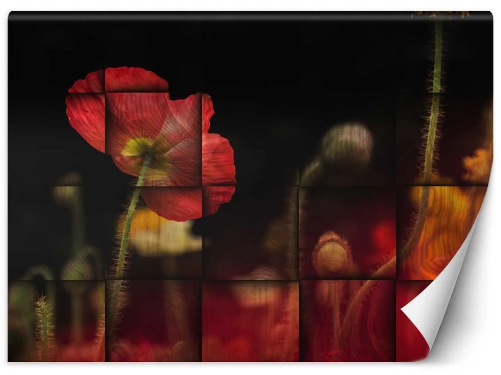 Gario Fotótapéta Vörös pipacsvirág Anyag: Vlies, Méret: 400 x 280 cm