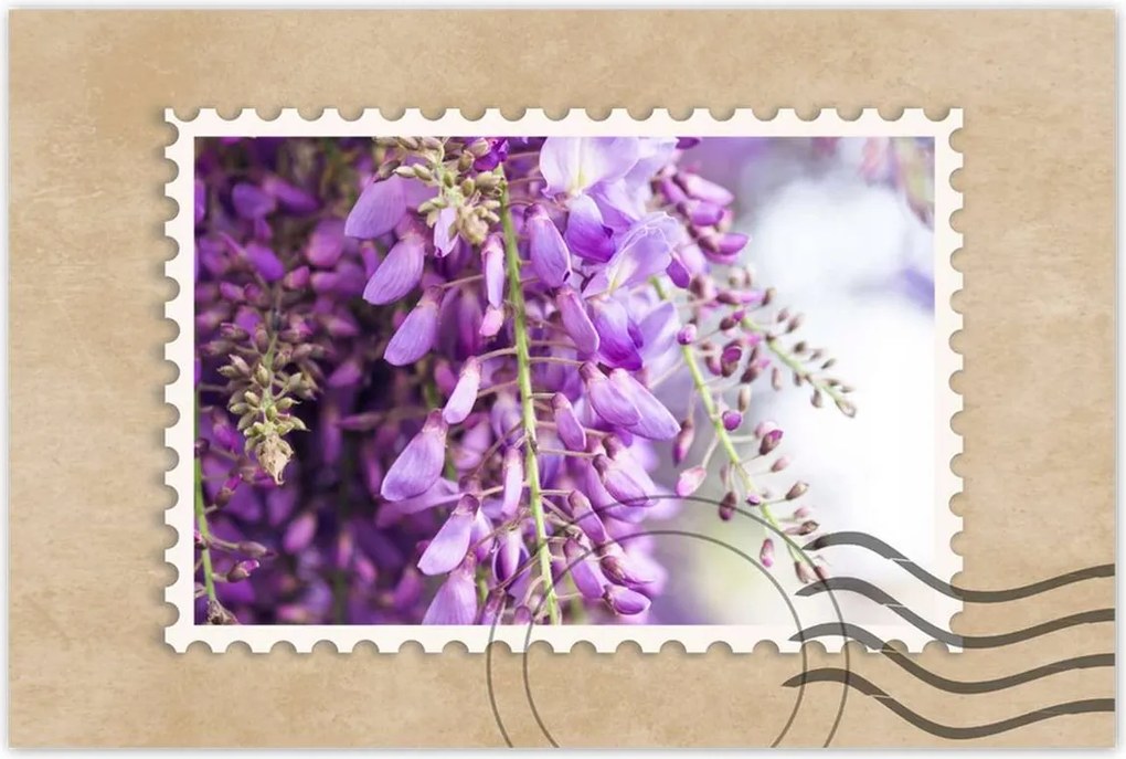 Poszterek 120x80 Lila virágok Virágok