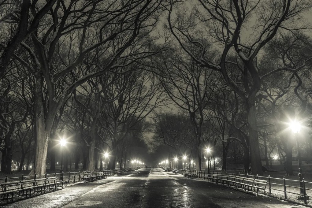 Poszter 45x30cm Éjszakai kilátás a Central Parkon át vezető útra, Assaf Frank