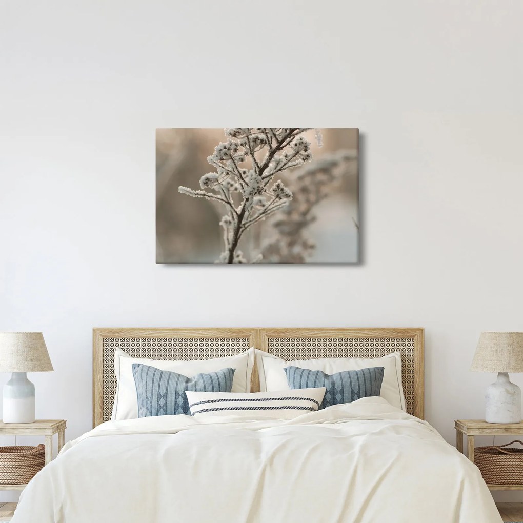 Kép - Növény fagyban (90x60 cm)