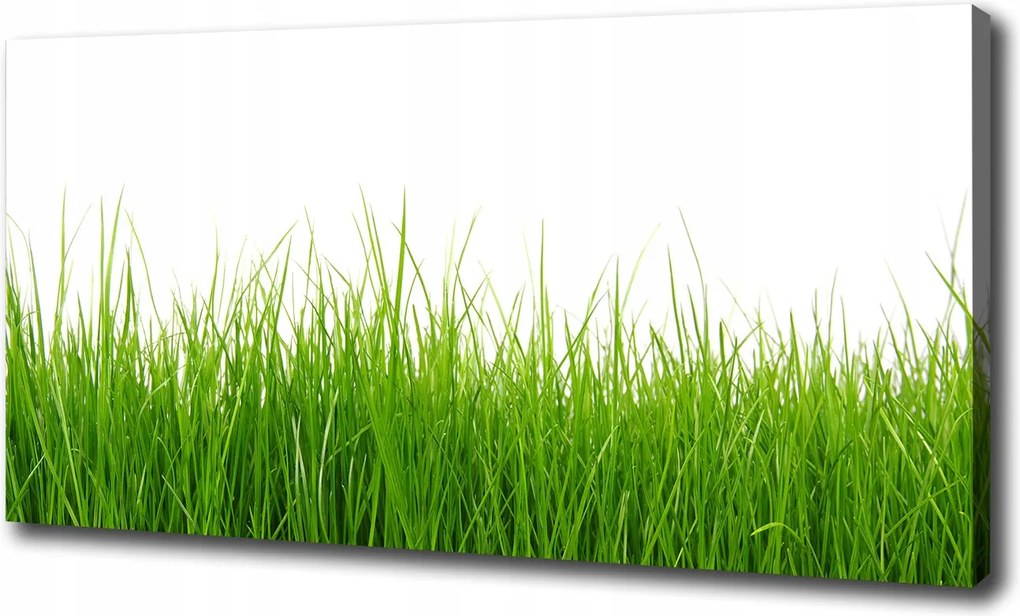 Fotótapéta nappaliba Fű 120x60 cm