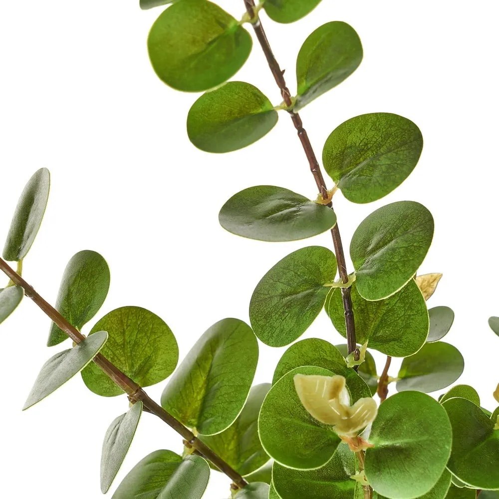 Művirág – Casa Selección