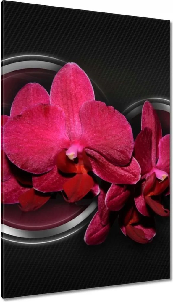 Vászonkép 80x120 Orchidea golyókkal