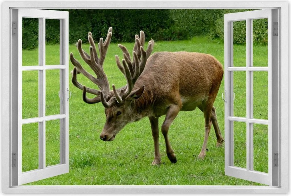 Poszterek 120x80 Szarvas felszarvazott