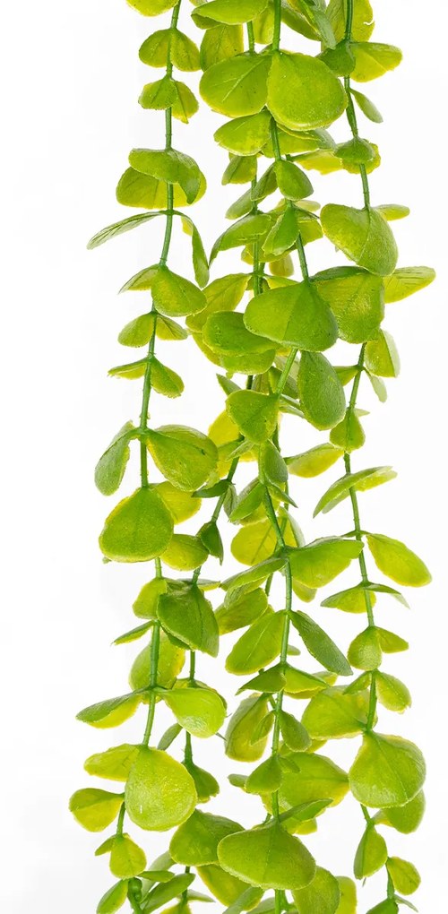 Műcserje Eukaliptusz, sötétzöld, 120 cm, műcserje
