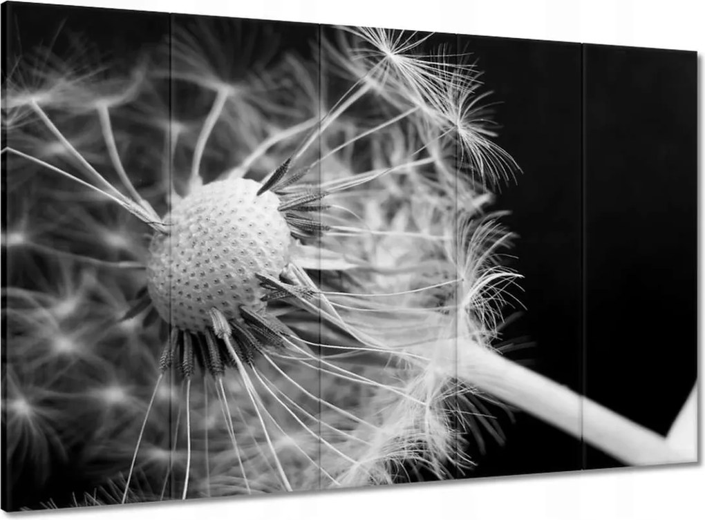 Vászonkép 100x70 Pitypang Virág Virágok