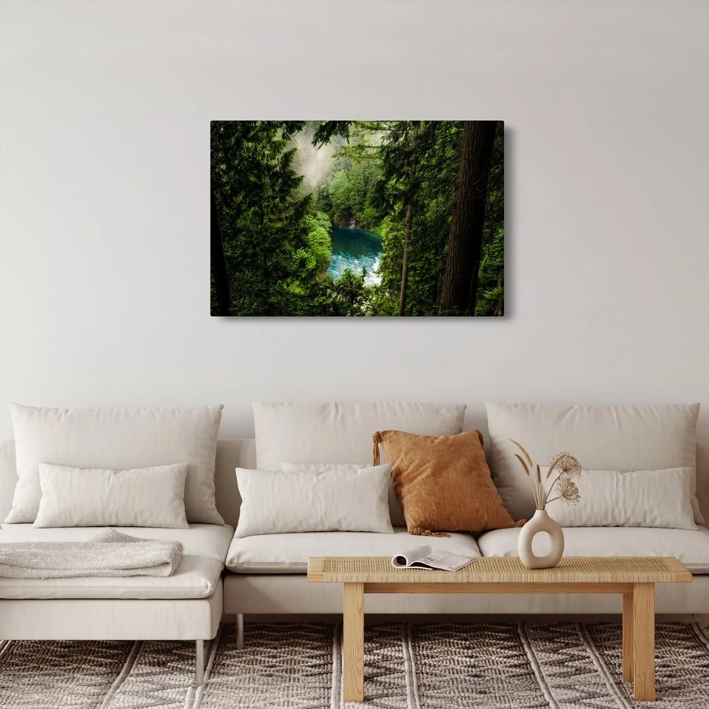 Kép - kilátás a fák között (90x60 cm)