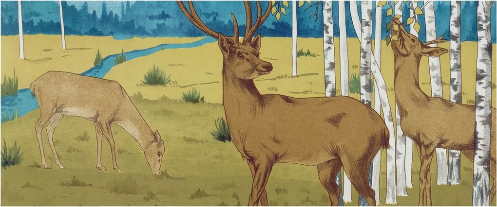 Dekoratív fotótapéta Hálószobába Erdei harmónia 250x104