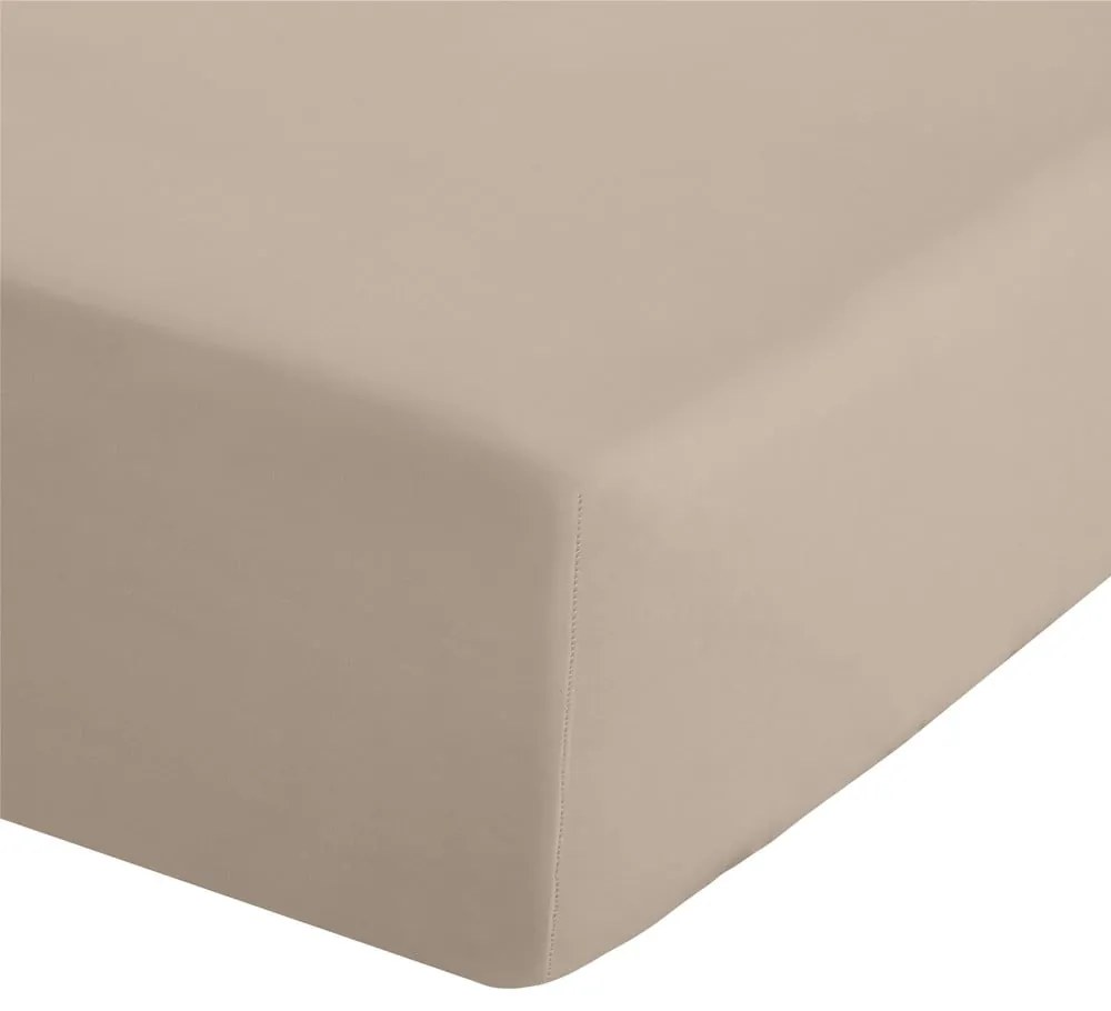 Világosbarna gumis perkál lepedő 135x190 cm Easy Iron Percale – Catherine Lansfield