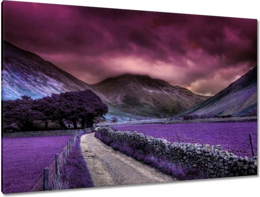 Festmények 120x80 Lila tájkép