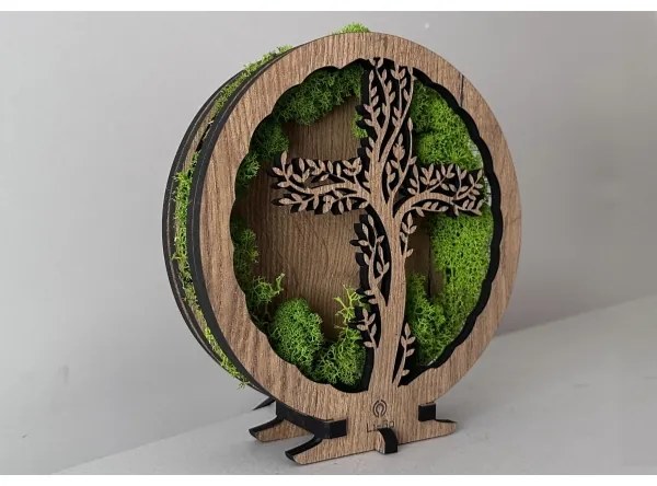 Li-Go 23622/DUB2 - LED fényerőszabályozható asztali dekoráció LED/12W/230V 20x22 cm tölgy