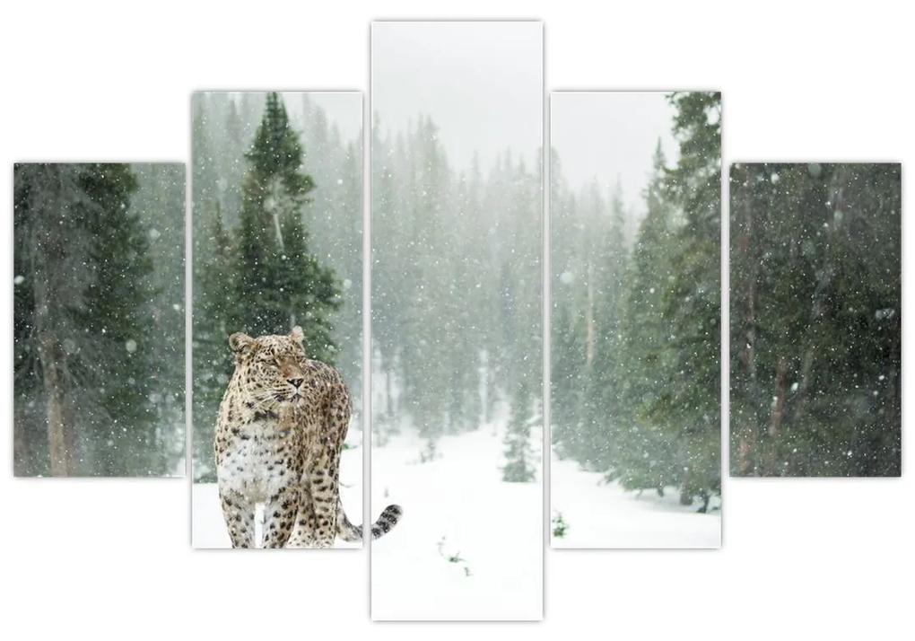 Leopárd a hóban képe (150x105 cm)