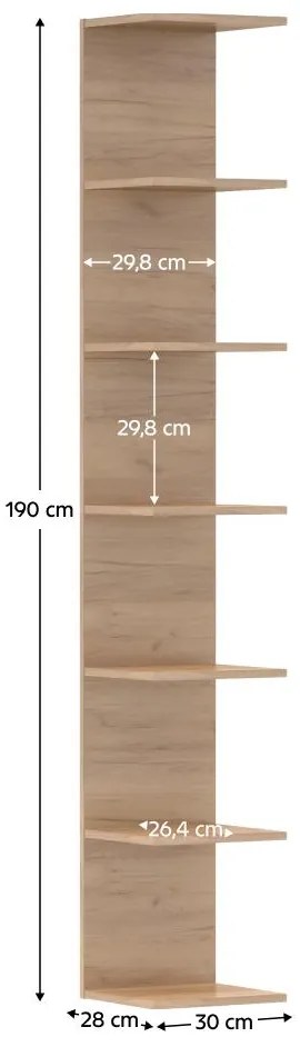 Polc Dorona (artisan tölgy). 1119673