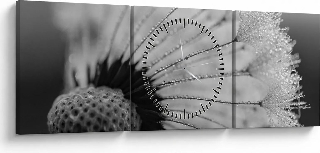 Pitypang képe - fekete fehér (órával) (90x30 cm)