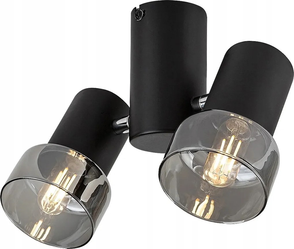 Mennyezeti lámpa Rabalux Hatice fekete 2xE14 állítható reflektor