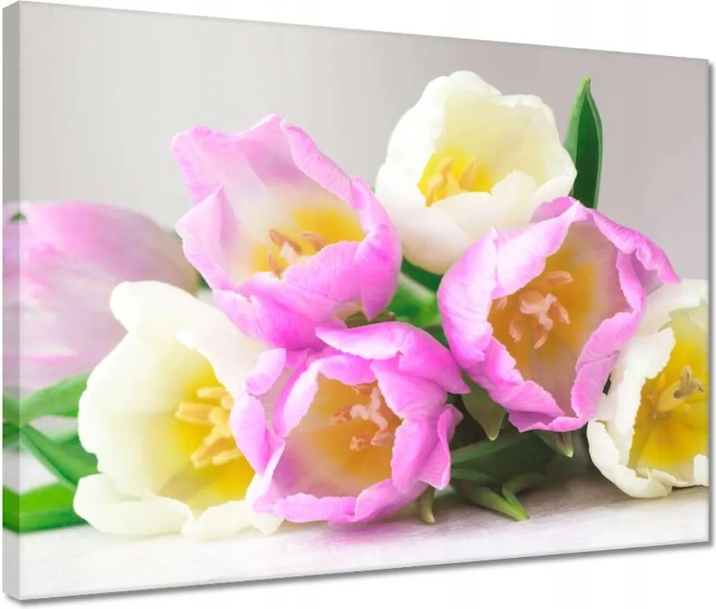 Vászonkép 40x30 Finom tulipánok