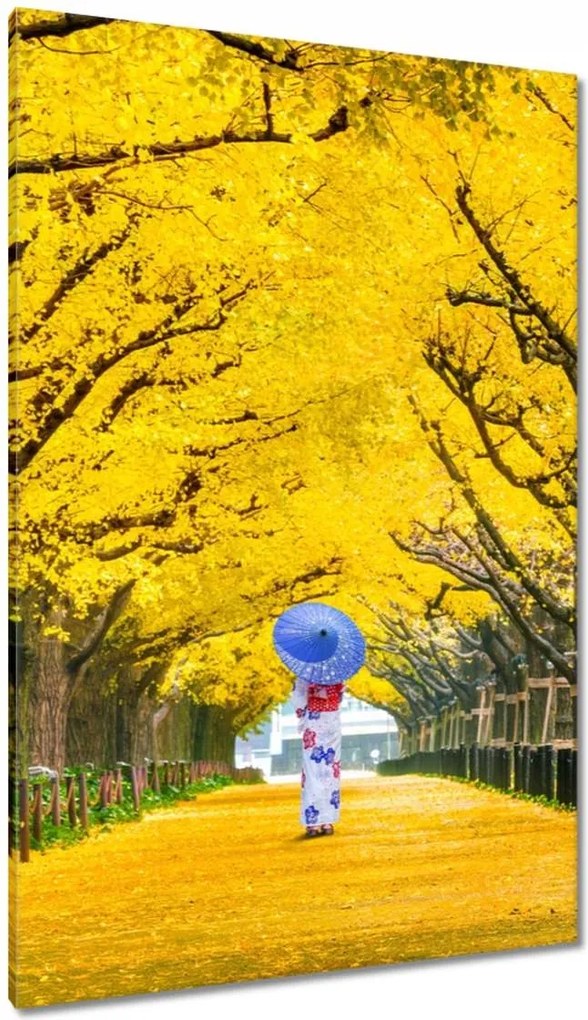 Vászonkép 80x120 Japán kimonó Ősz