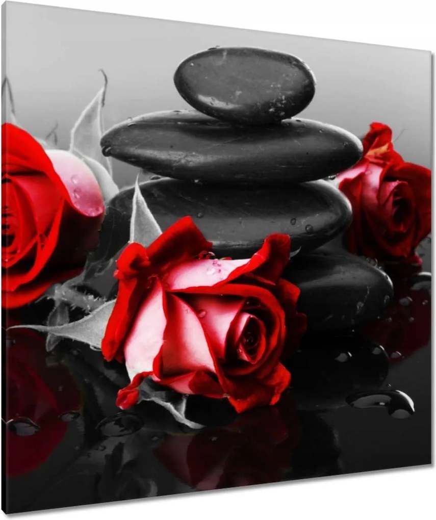 Vászonkép 90x90 Vörös rózsák Kövek