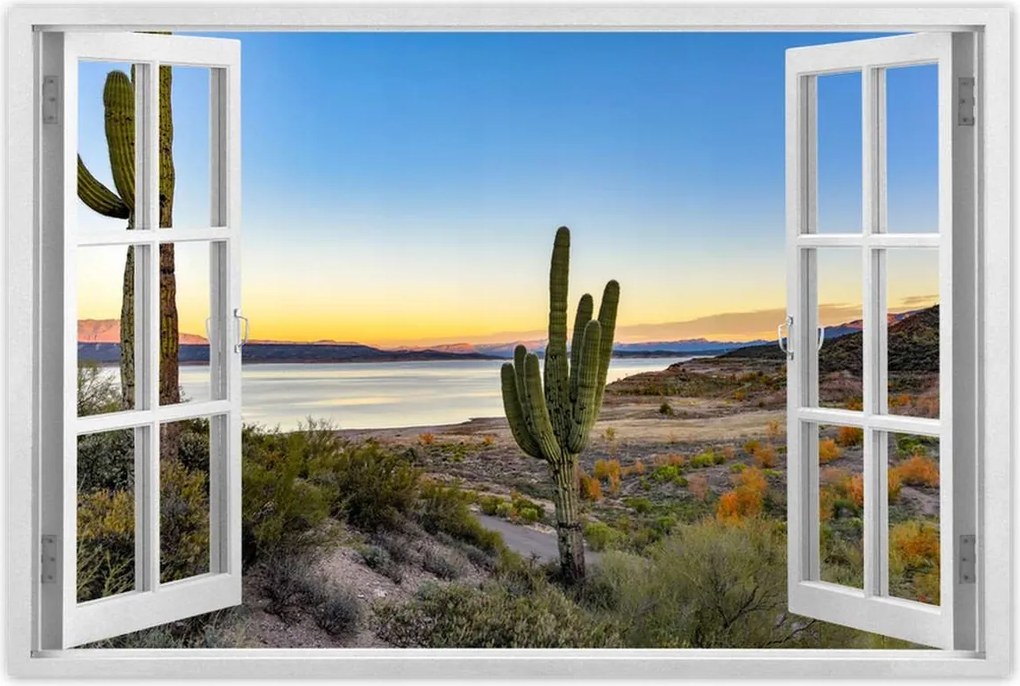 Poszterek 60x40 Kaktuszok a sivatagban