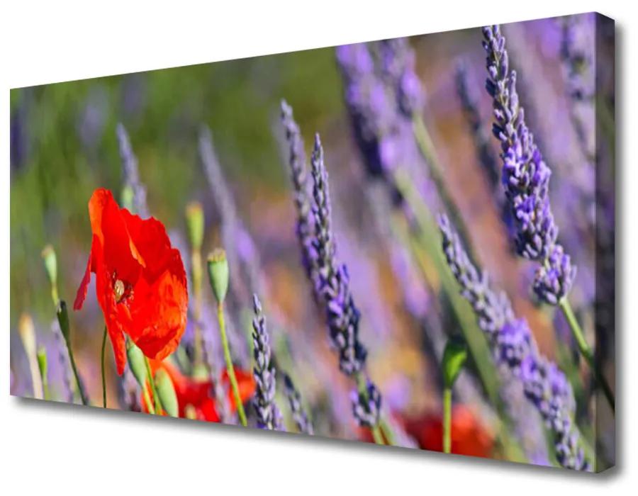 Vászonfotó virágok növények 100x50 cm