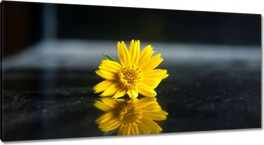 Vászonkép 115x55 Sárga virág