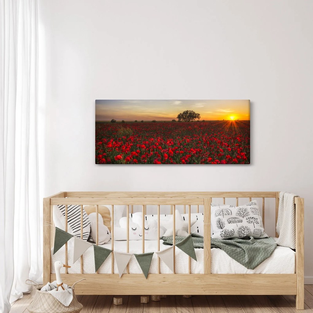 Pipacsos rét képe (120x50 cm)