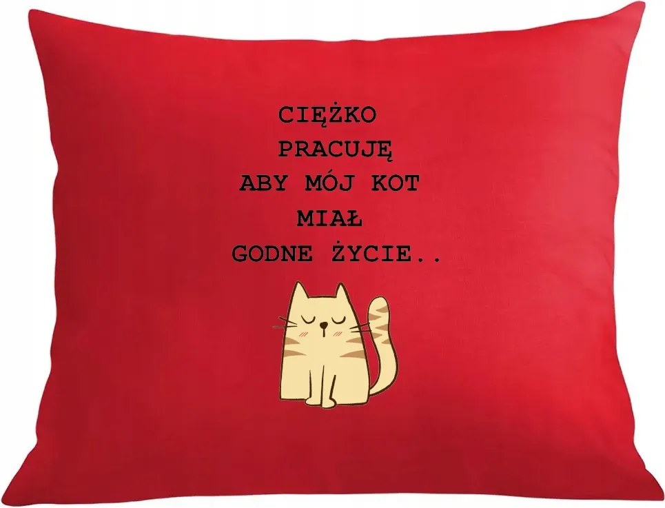 Párna párnahuzat, hogy macskámnak méltó élete legyen