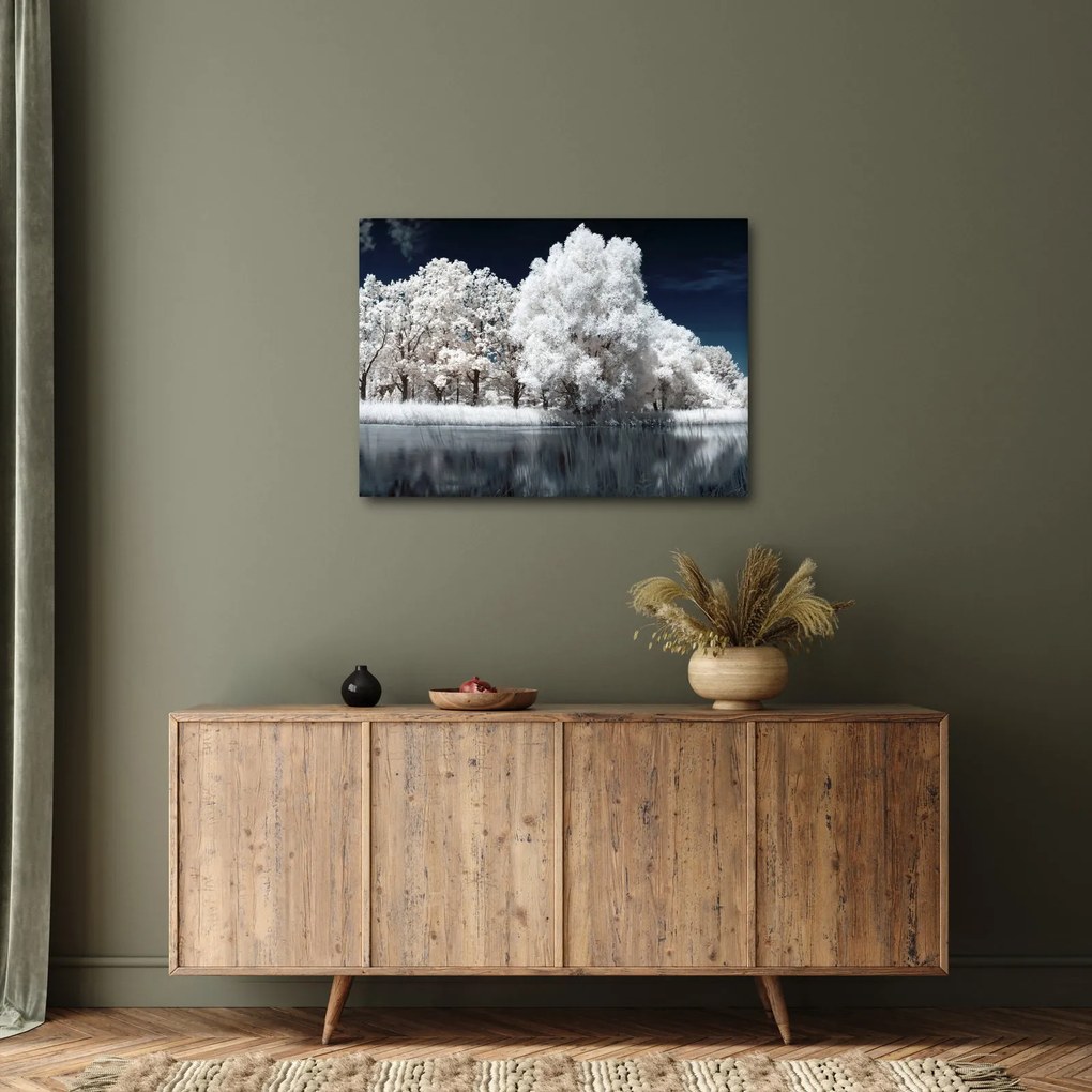 Kép - Hófehér fák (70x50 cm)